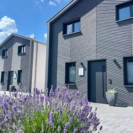 Mosellodge * 恩克里克